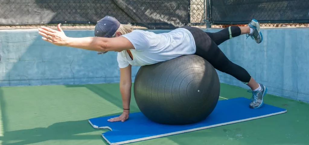 Stability Ball Reverse Hypers