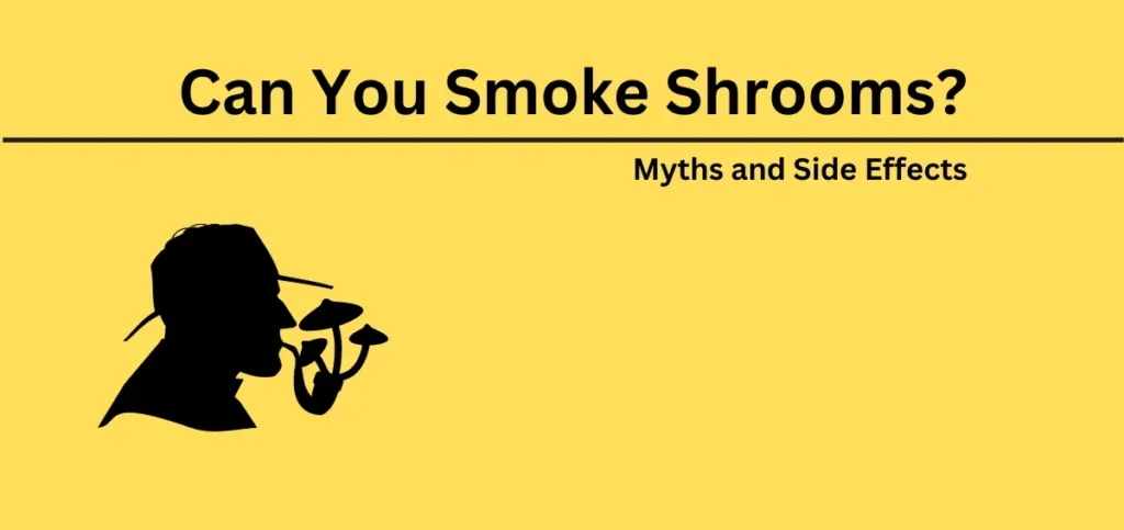 Can You Smoke Shrooms? Myths and Side Effects