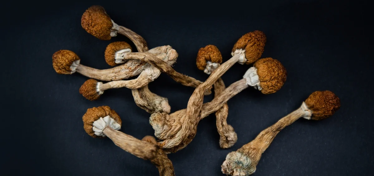 Can You Smoke Magic Mushrooms? Myths and Side Effects