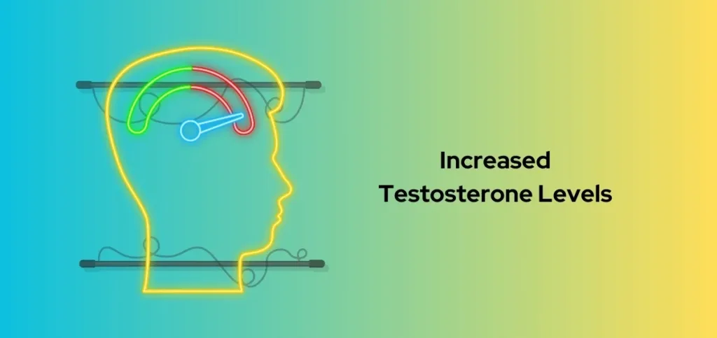 Increased Testosterone Levels