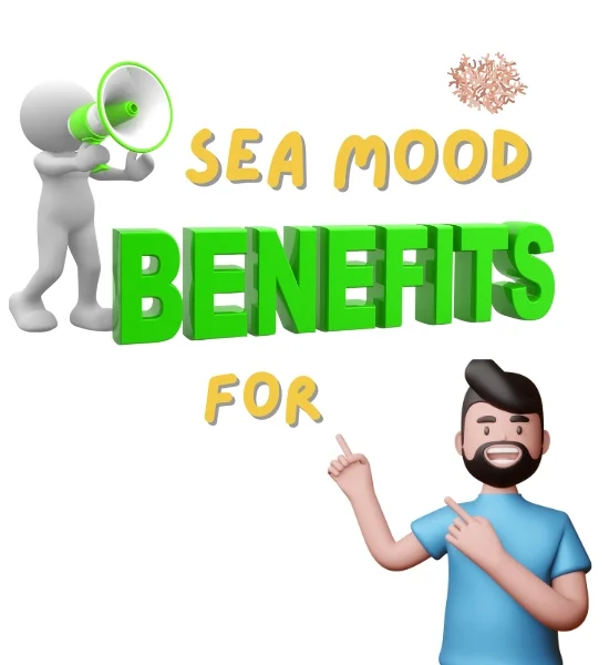 Health - Sea Moss Benefits for Men