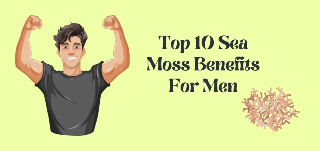 Sea Moss Benefits for Men