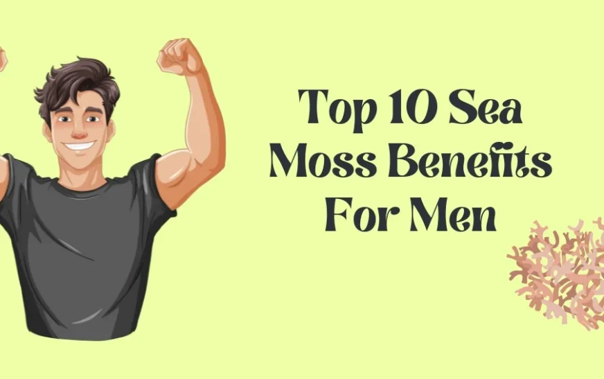 Sea Moss Benefits for Men