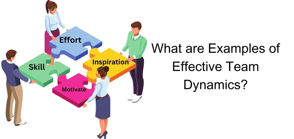 What are Examples of Effective Team Dynamics