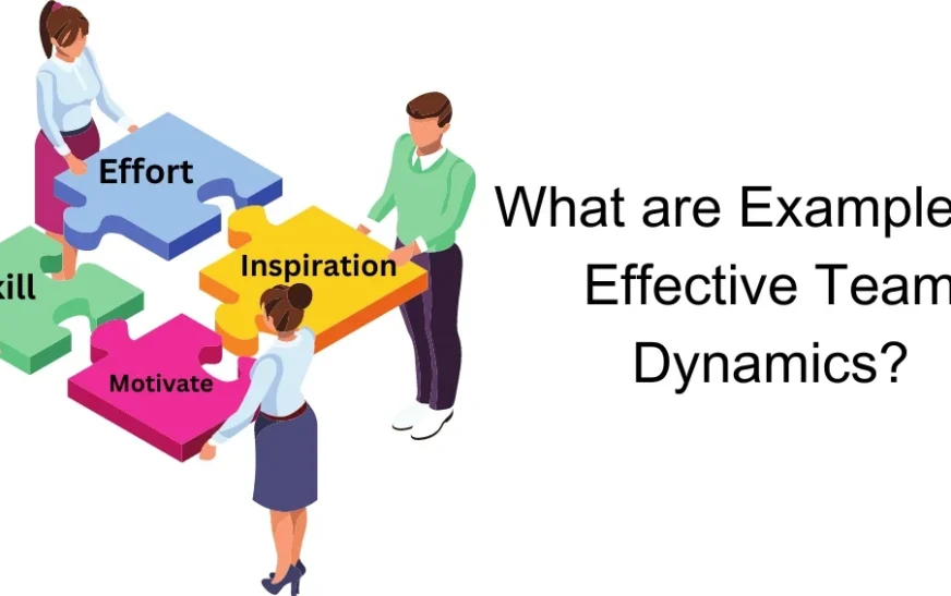 What are Examples of Effective Team Dynamics