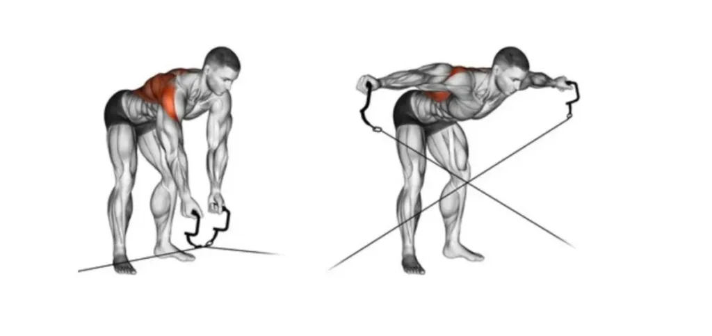 Bent-Over Cable Rear Delt Fly