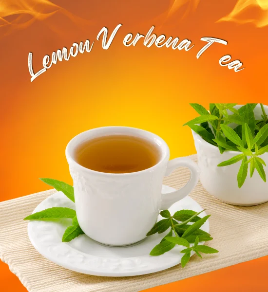 Food - How to Make Lemon Verbena Tea? + Benefits