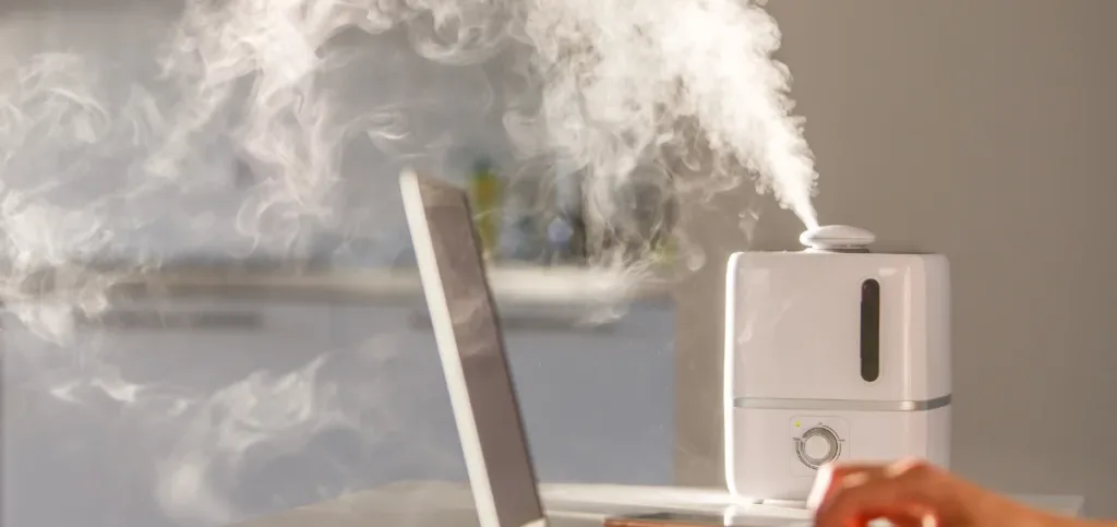 What Is a Humidifier and What Does It Do?