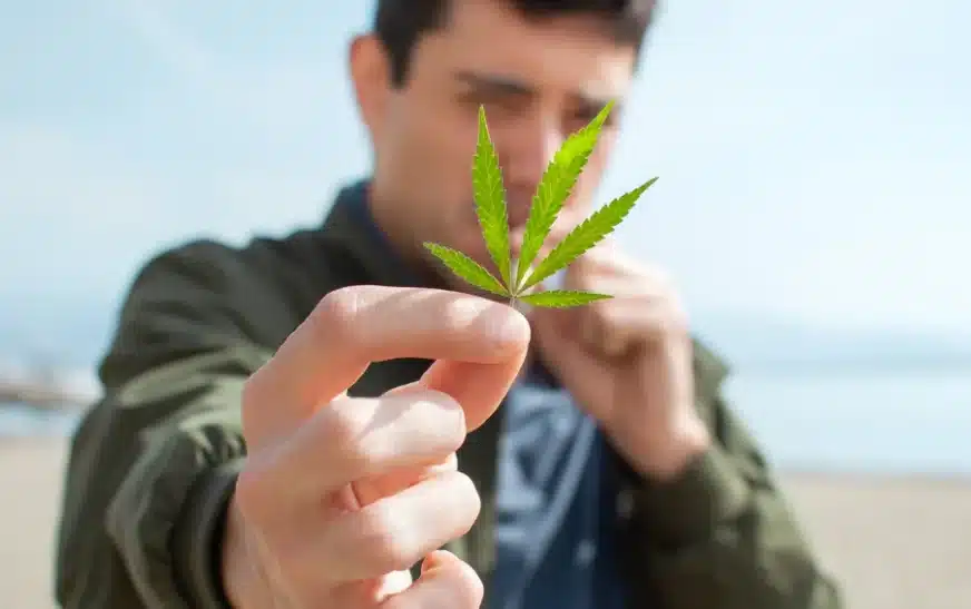 Things to Do While High