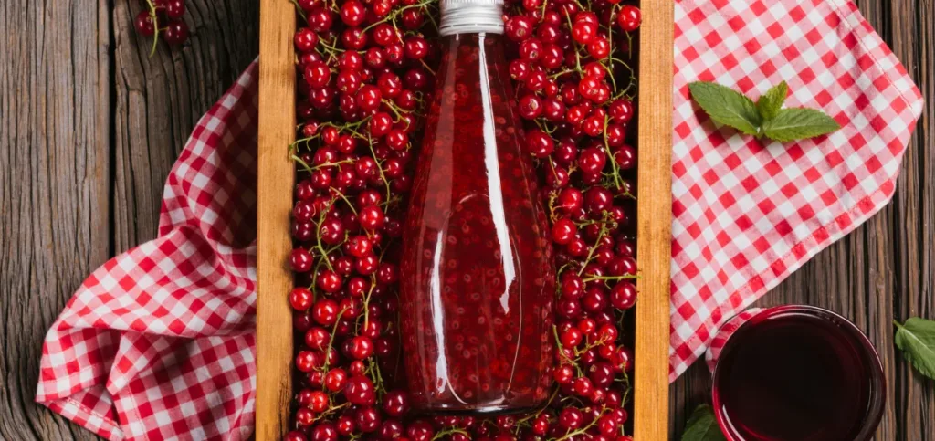 Decoding the Efficacy of Cranberry Juice for Weight Loss