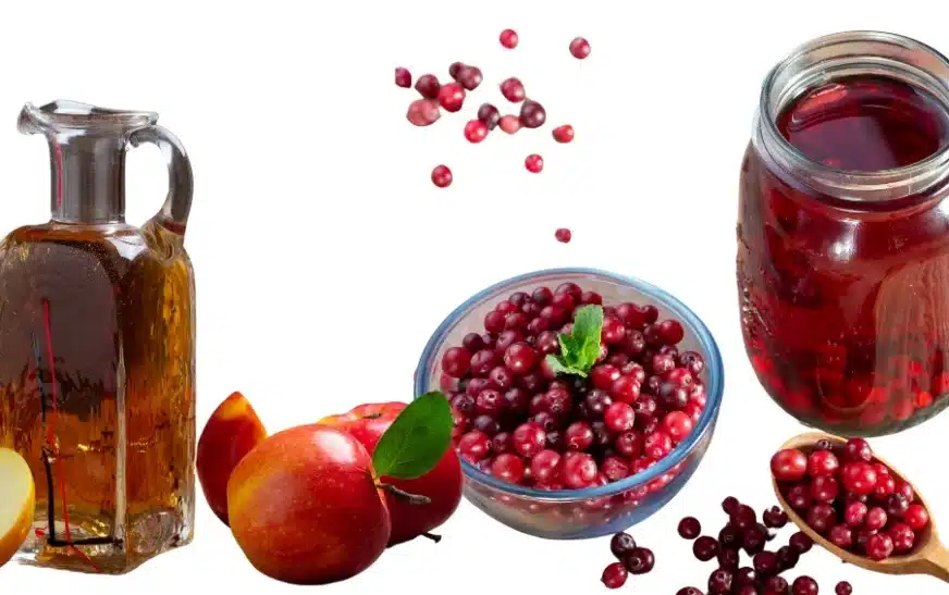 Cranberry Juice and Apple Cider Vinegar for Weight Loss Reviews