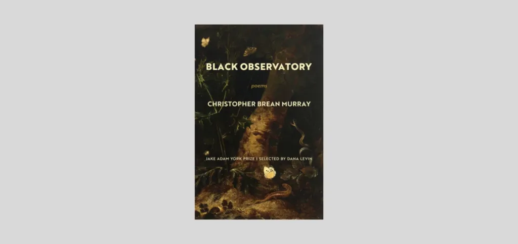 Black Observatory by Christopher Brean Murray