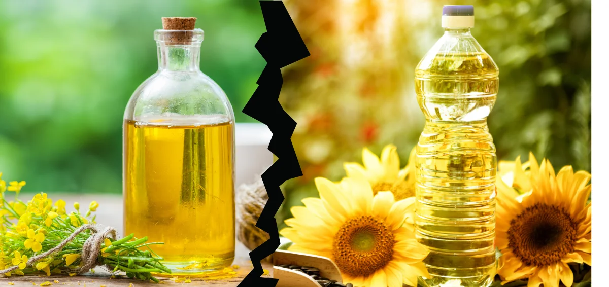 Canola Oil vs. Sunflower Oil: Which One is Best?