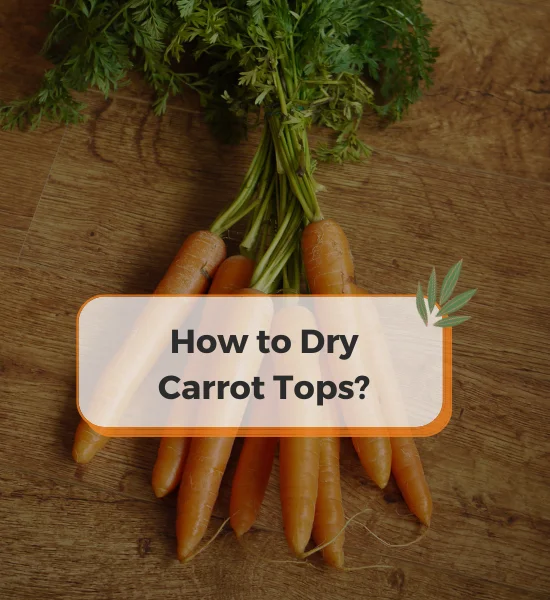 How to Dehydrate Carrot Tops?