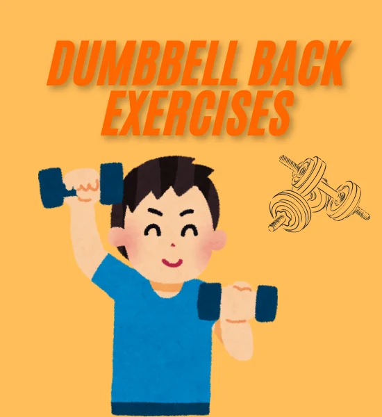 Best Dumbbell Back Exercises for Strength and Stability