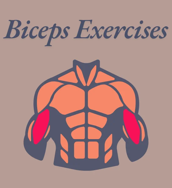 20 Best Bicep Exercises for Muscles Growth