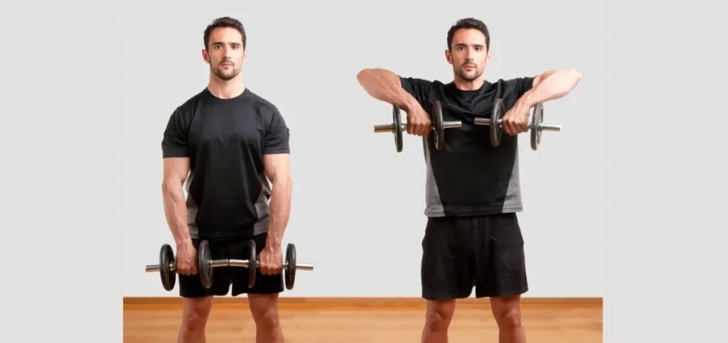 Dumbbell Upright Row Dumbbell Upright Row