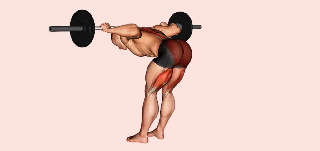 Barbell Good Mornings Barbell Good Mornings