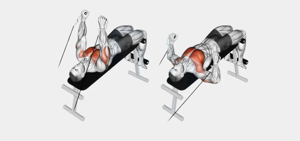 Cable Bench Press Cable Bench Press