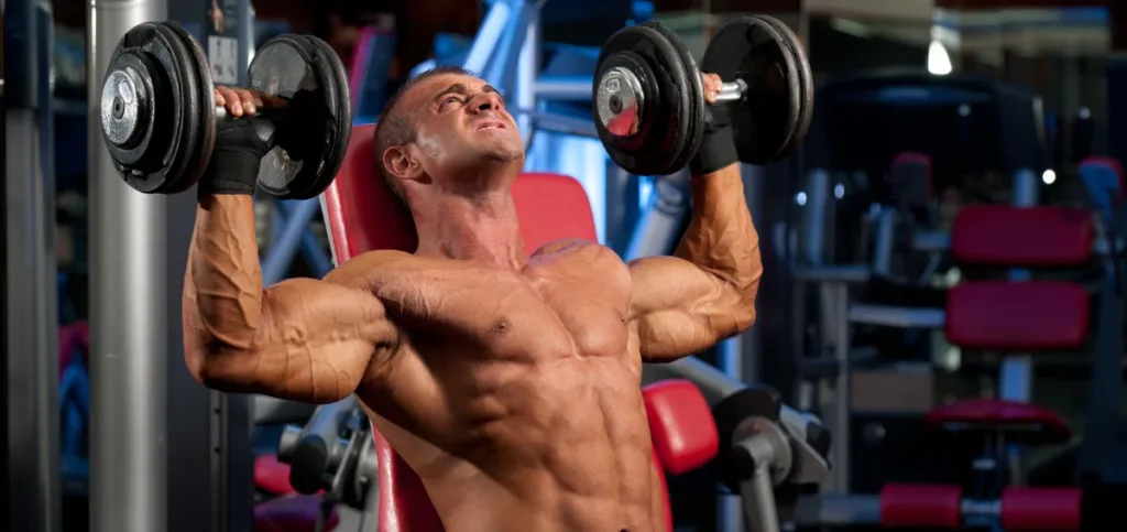 Dumbbell Shoulder Press Dumbbell Shoulder Press