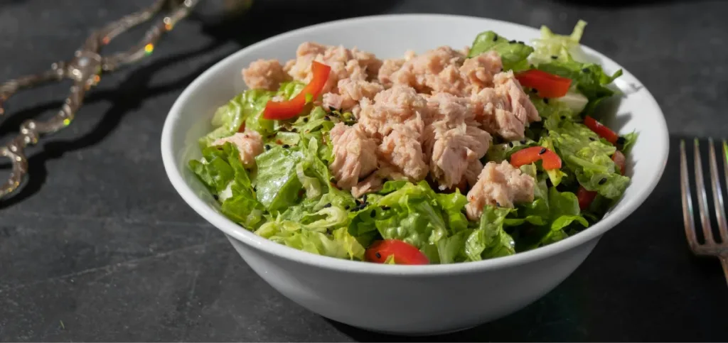 No Mayonnaise Tuna Salad No Mayonnaise Tuna Salad