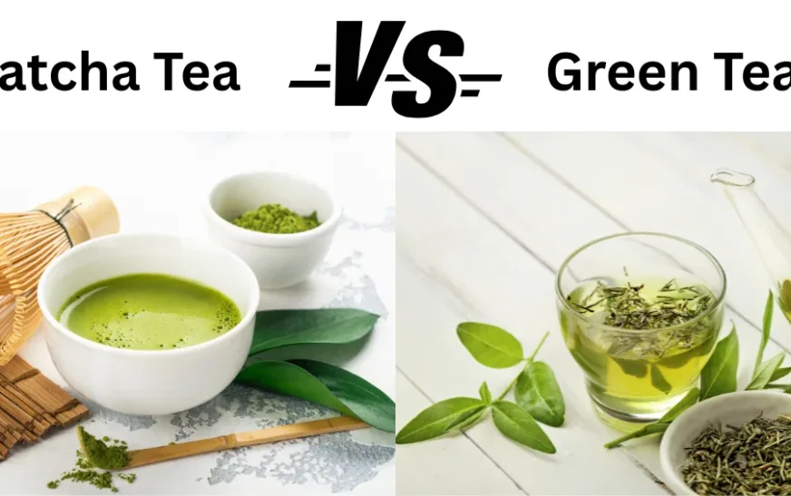 What is the Difference Between Matcha Tea & Green Tea?