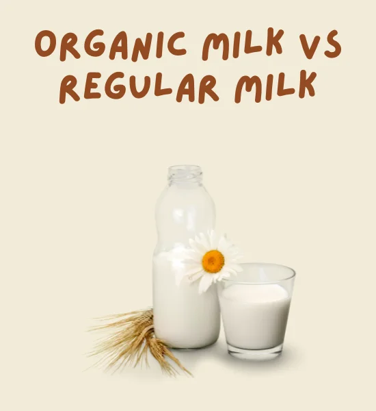 What’s the Difference Between Organic and Regular Milk?