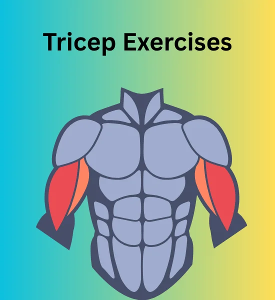 Top Tricep Exercises: Bodyweight & Weight Training Guide
