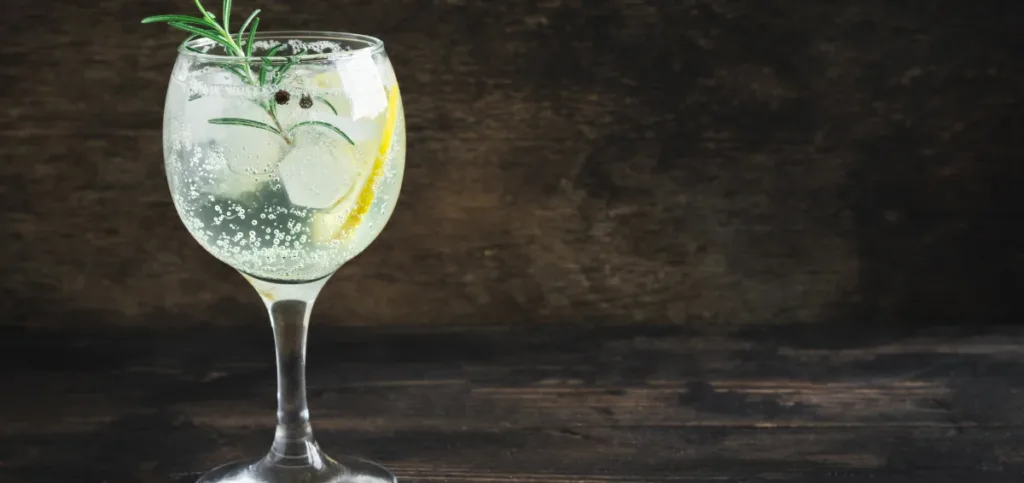 Gin and Diet Tonic Gin and Diet Tonic
