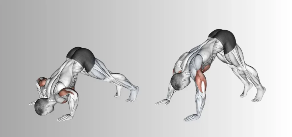 Pike Pushup Pike Pushup