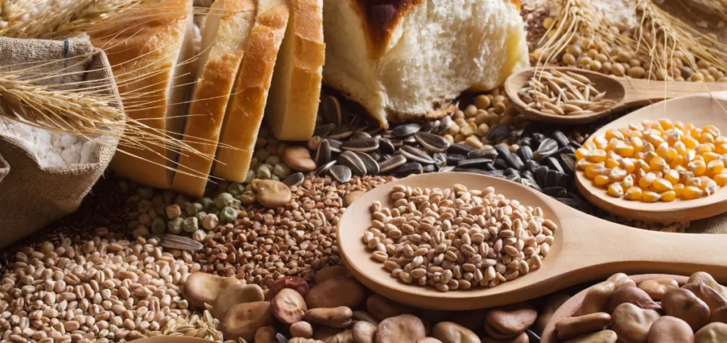 Refined Grains Refined Grains