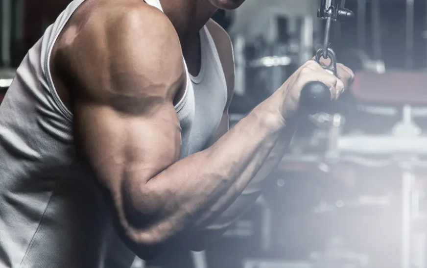 Tricep Exercises
