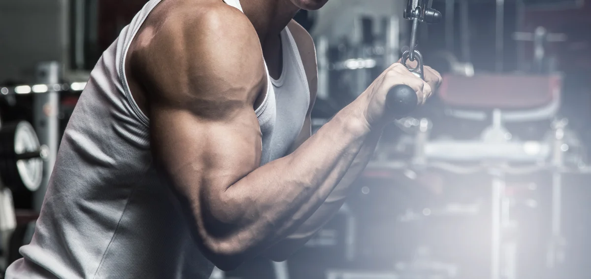 Top Tricep Exercises: Bodyweight & Weight Training Guide