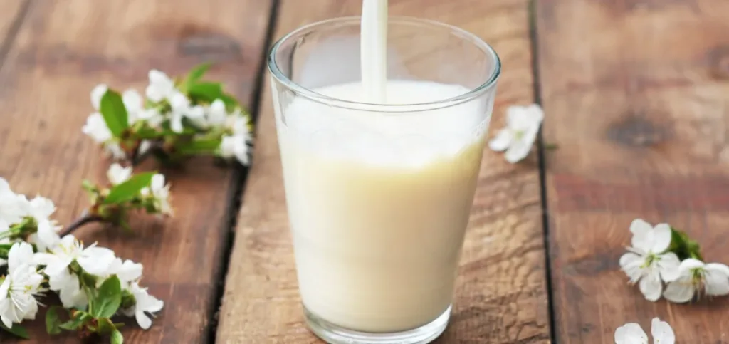 organic milk vs regular milk organic milk vs regular milk