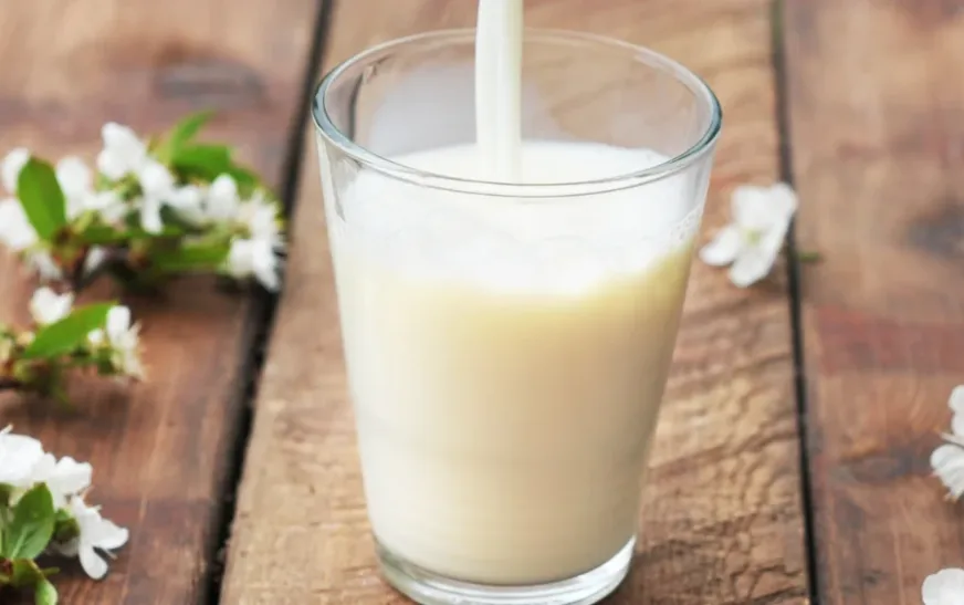 What’s the Difference Between Organic and Regular Milk?