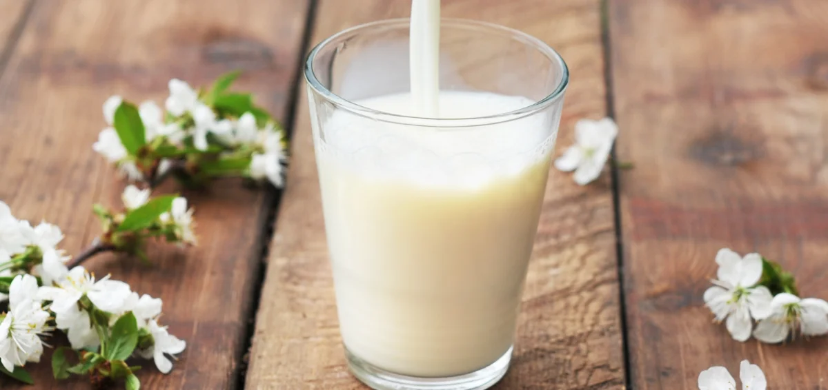 What’s the Difference Between Organic and Regular Milk?