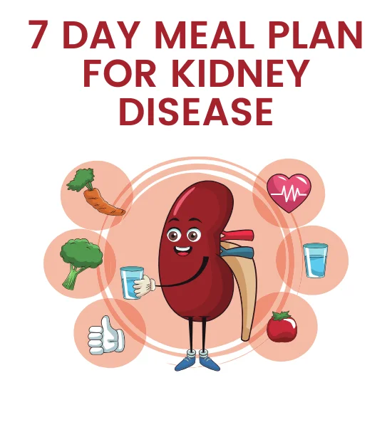 7 Day Meal Plan for Kidney Disease: Easy & Balanced Recipes