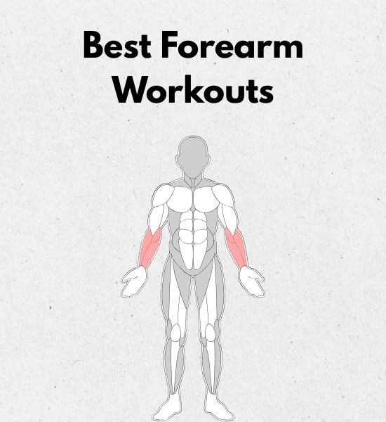 10 Best Forearm Workouts for Bigger Arms & Stronger Grip