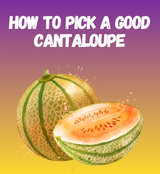 How to Pick a Good Cantaloupe: A Quick Expert Guide