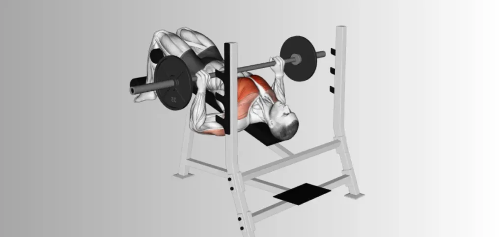 Decline Barbell Bench Press Decline Barbell Bench Press