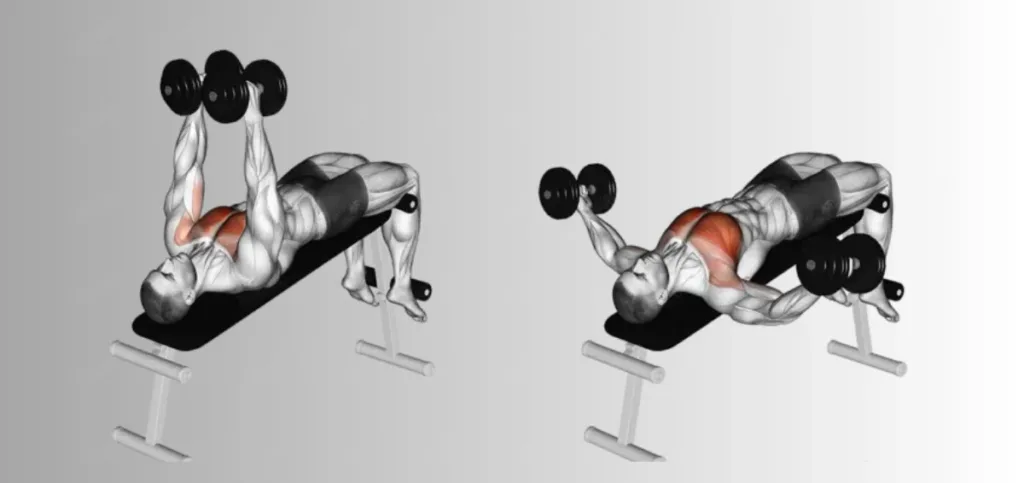 Decline Chest Fly Decline Chest Fly