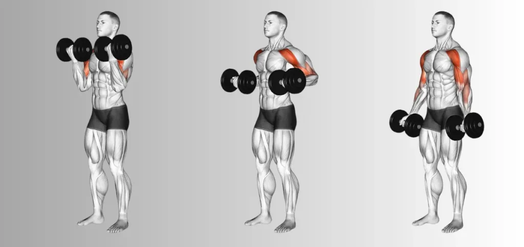 Dumbbell Drag Curl