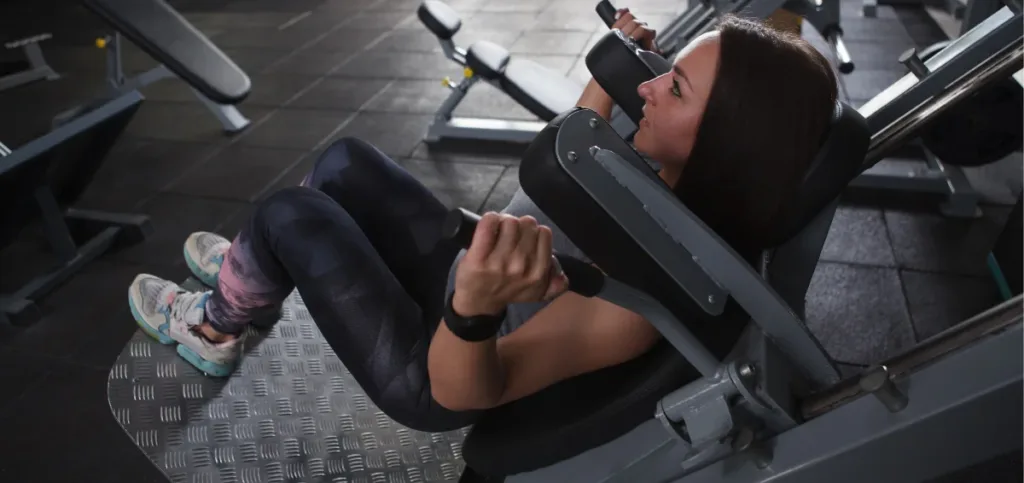 Hack Squat (Machine) Hack Squat (Machine)