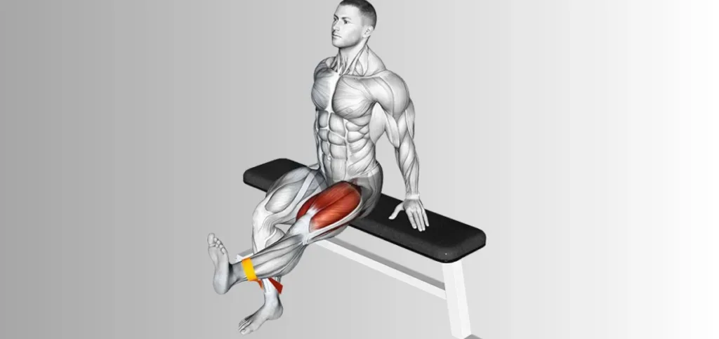 Resistance Band Leg Extensions Resistance Band Leg Extensions