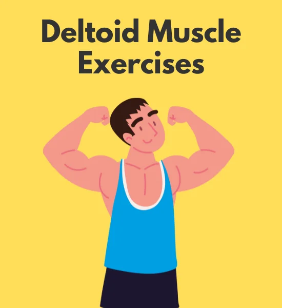 Deltoid Muscle Exercises: Top 12 Shoulder Workouts to Try