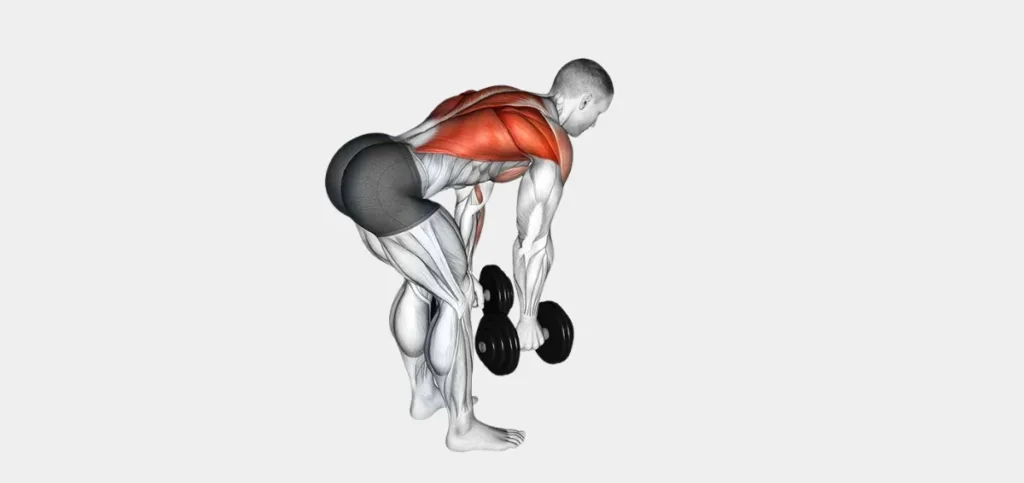 Dumbbell Dead Row