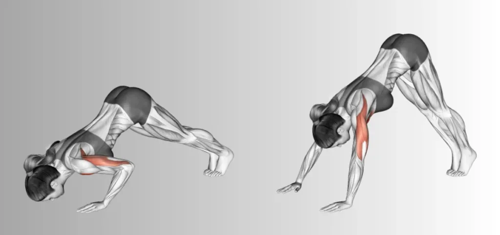 Pike Push-Ups Pike Push-Ups