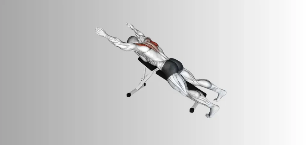 Prone Y Raises
