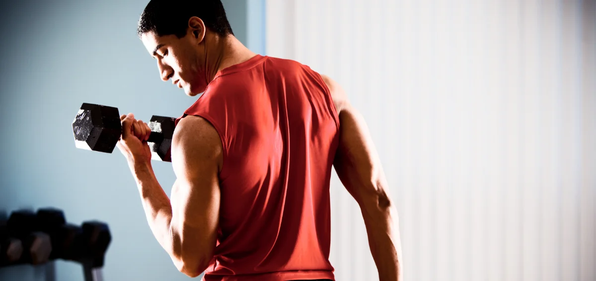 Best Dumbbell Lat Exercises: Top 10 Picks for Back Muscle
