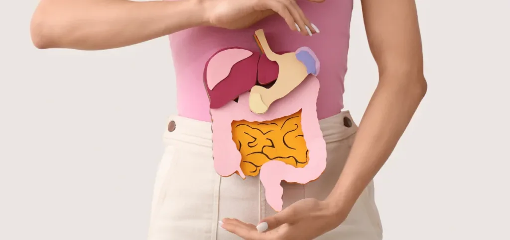 Supports Digestive Health Supports Digestive Health
